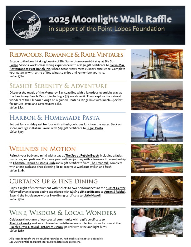 image of raffle description form